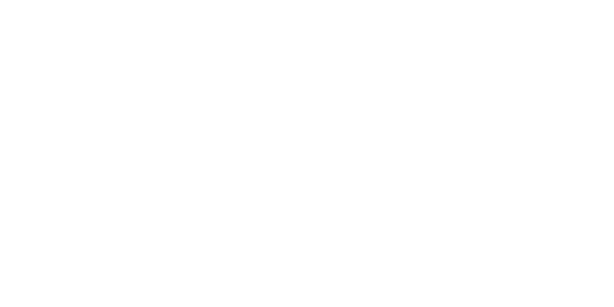 RaissaRadu